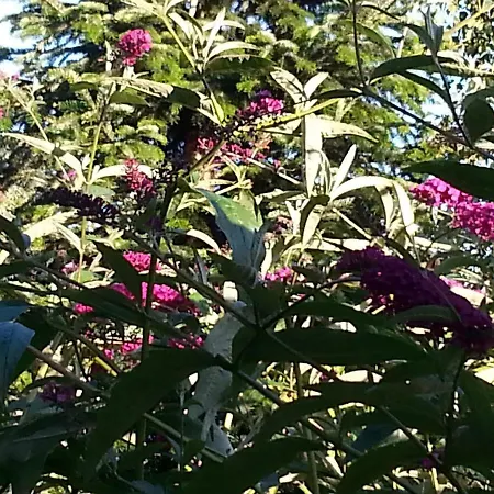 Carolines Gaestezimmer Meppen